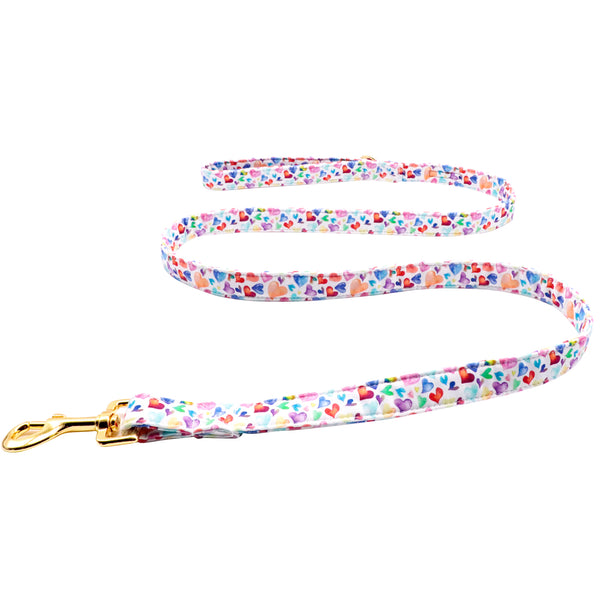 Valentine's Day Dog Leash for Small Medium Large Dog Matching Collar
