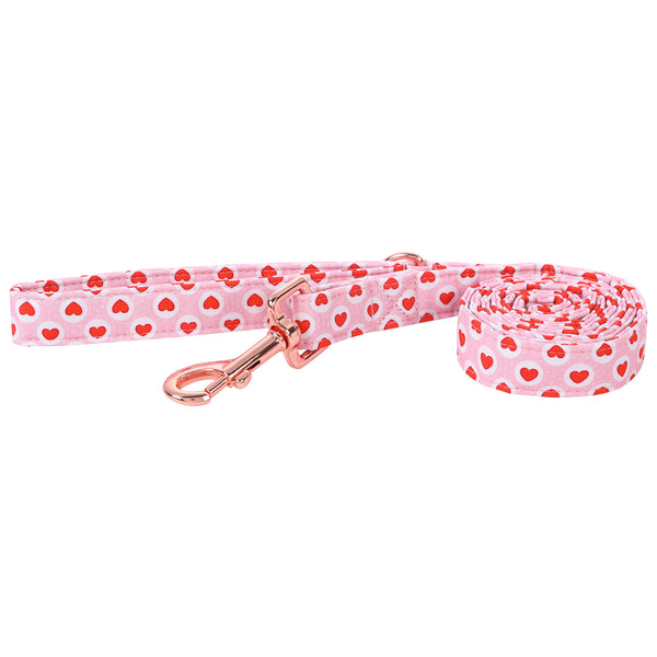 Valentine's Day Dog Leash for Small Medium Large Dog