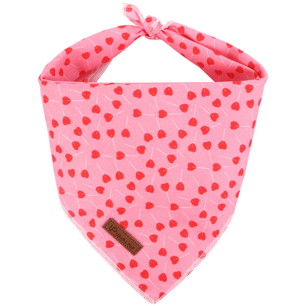 Valentine's Day Dog Bandana for Small Medium Large Female Dogs Gift