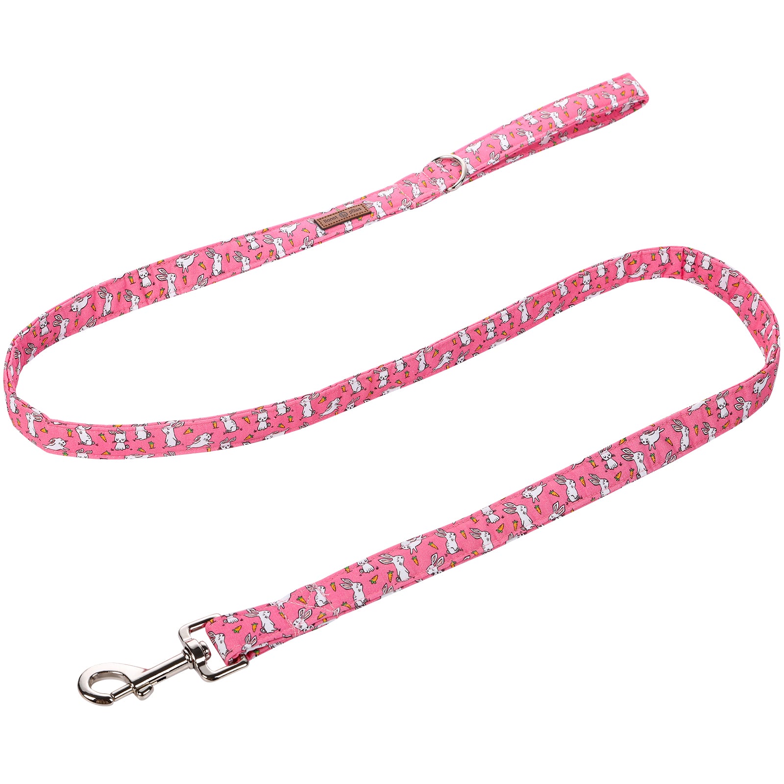 Easter Day Dog Leash for Small Medium Large Dog Matching Collar
