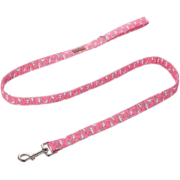 Easter Day Dog Leash for Small Medium Large Dog Matching Collar