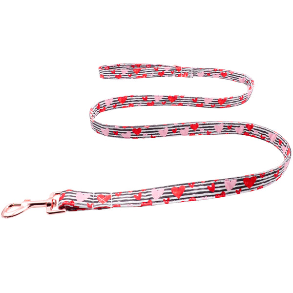 Valentine's Day Dog Leash for Small Medium Large Dog Matching Collar