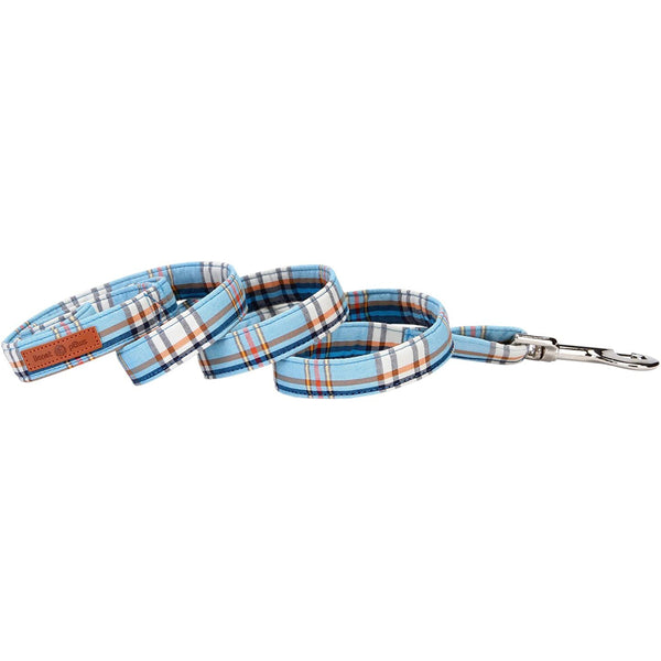 Blue Dog Leash for Small Medium Large Dog Matching Collar