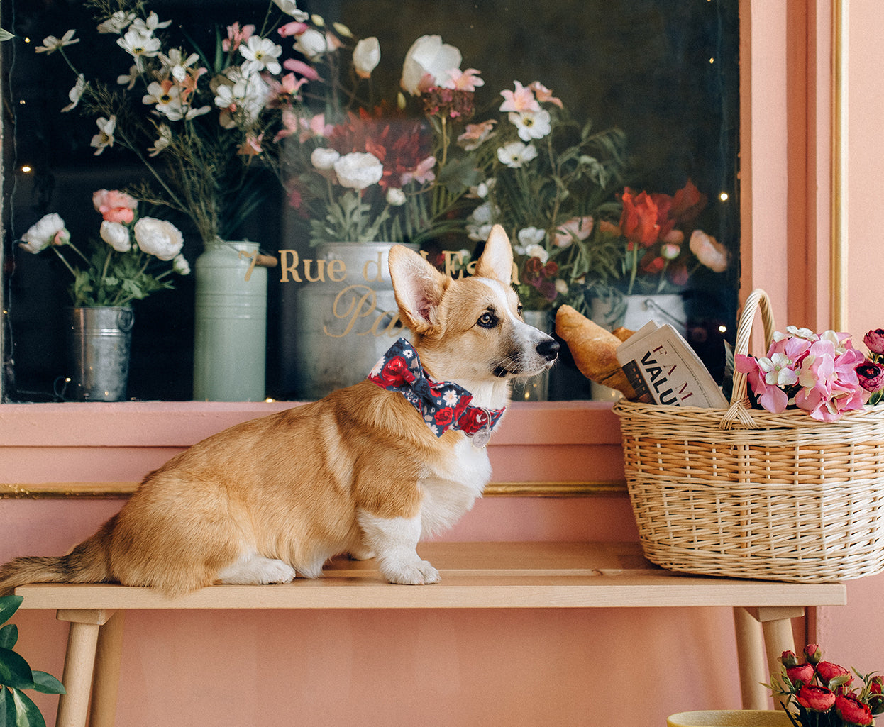 Bowtie Dog Collar with Metal Buckle for Girl, Flower Pattern