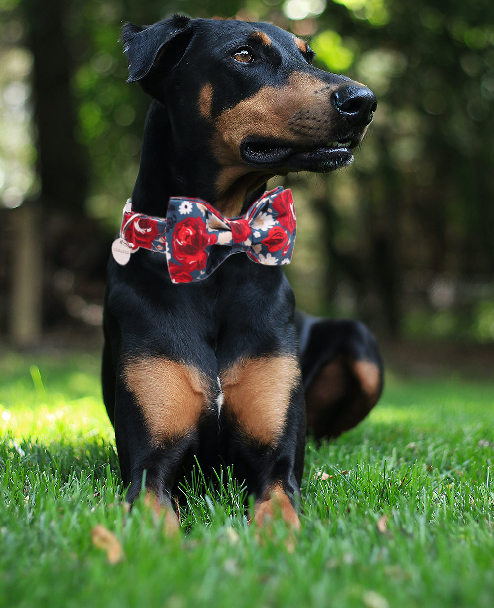 Bowtie Dog Collar with Metal Buckle for Girl, Flower Pattern