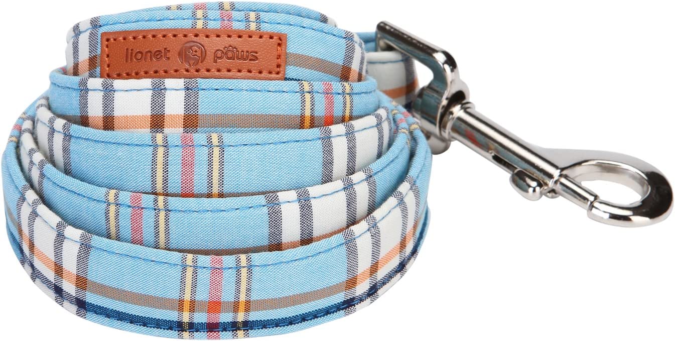 Blue Dog Leash for Small Medium Large Dog Matching Collar