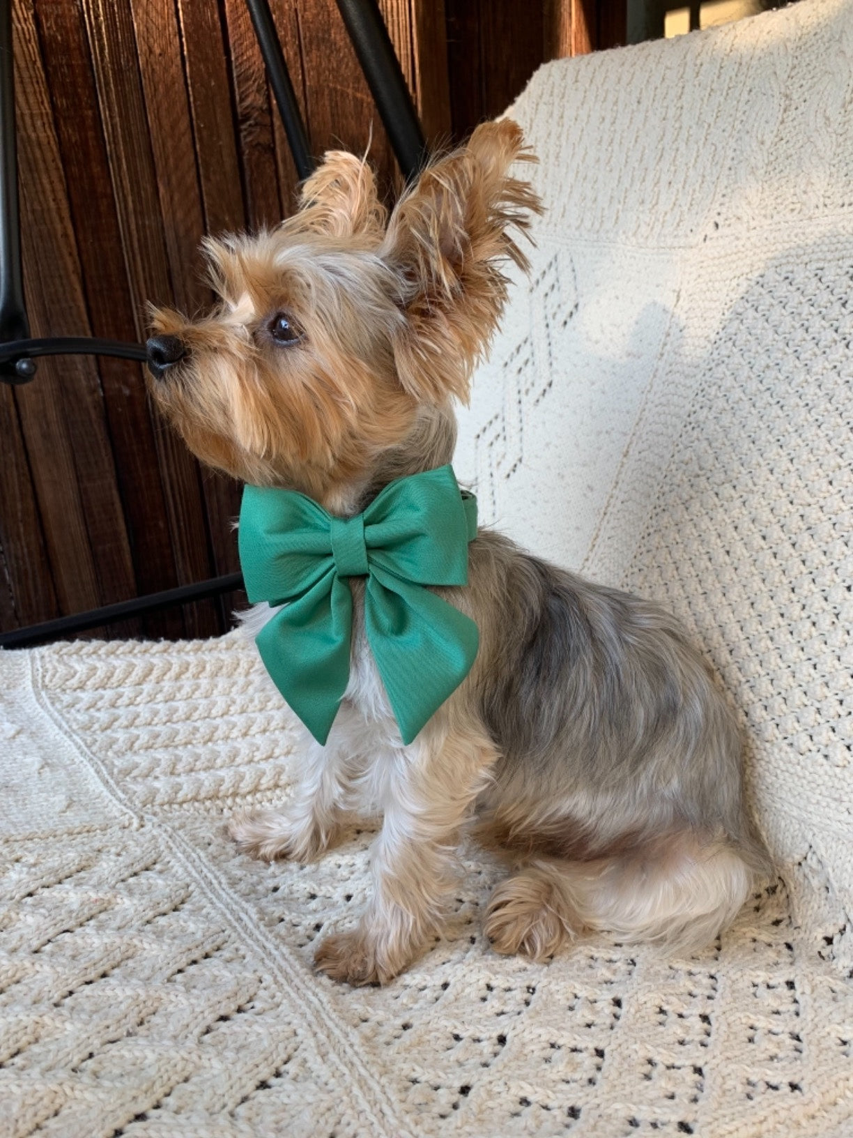 Comfortable Cotton Dog Collar with Detachable Sailor Bow for Male Female Dogs