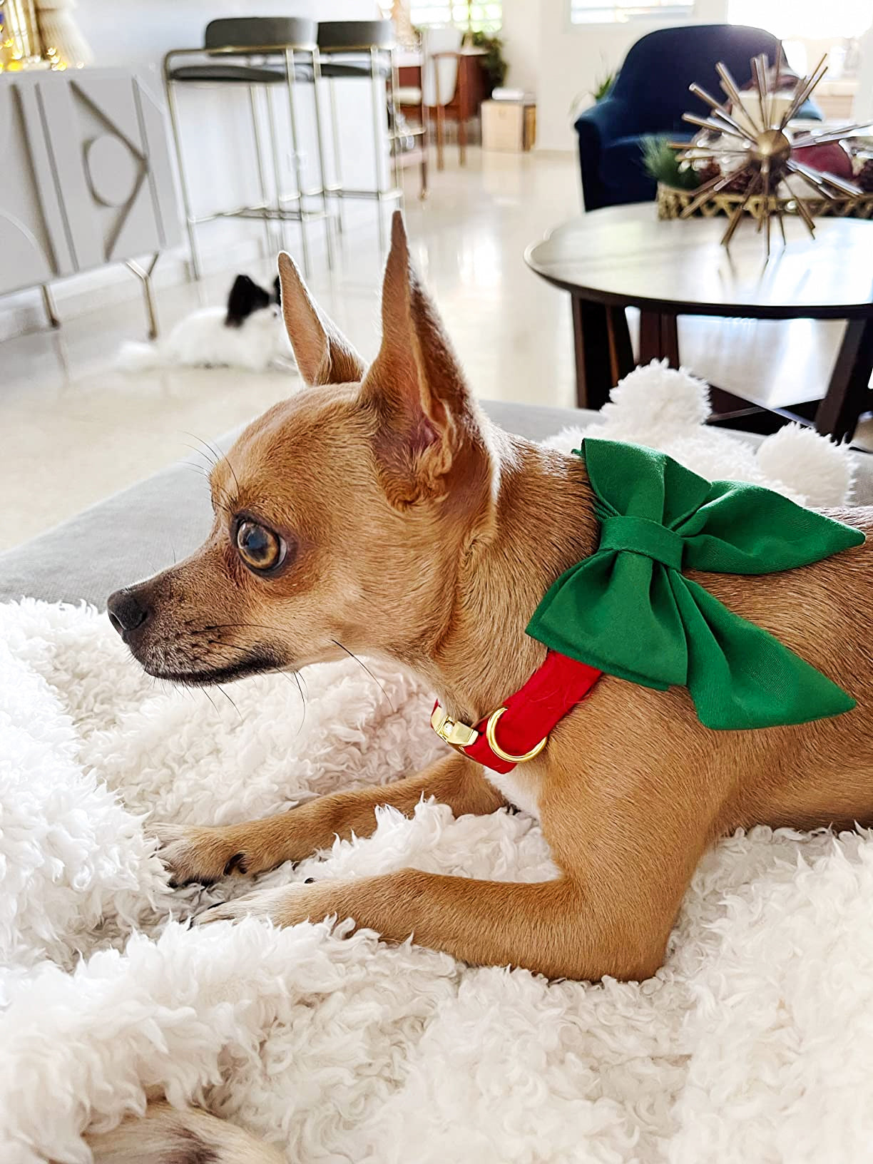 Comfortable Cotton Dog Collar with Detachable Sailor Bow for Male Female Dogs
