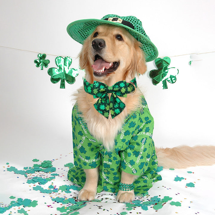 St Patrick's Day Dog Collar with Sailor Bow for Girl
