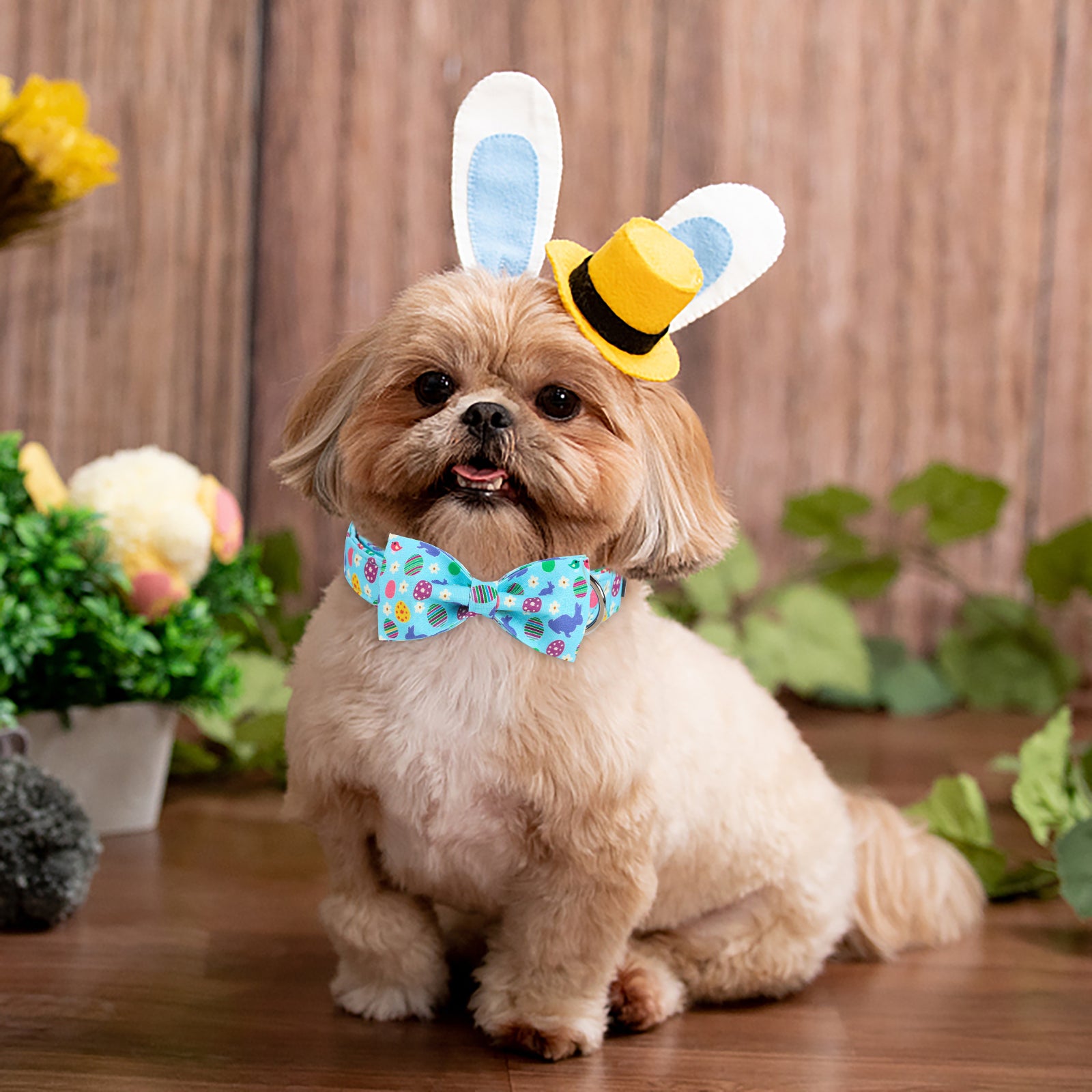 Easter Bowtie Dog Collar with Metal Buckle for Girl or Boy, Easter Bunny Egg Pattern