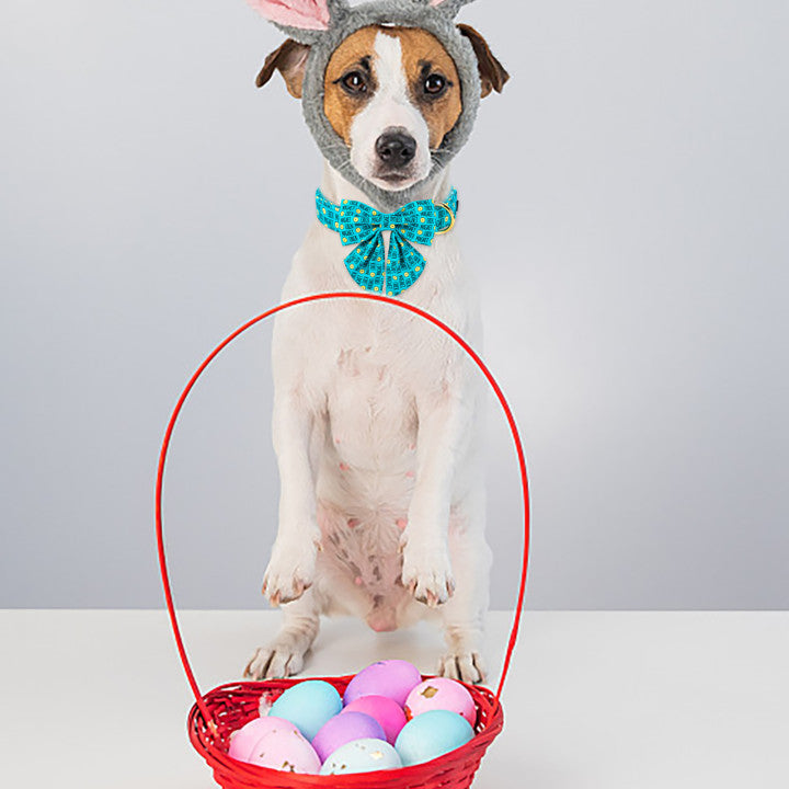 Easter Day Dog Collar with Sailor Bow for Girl