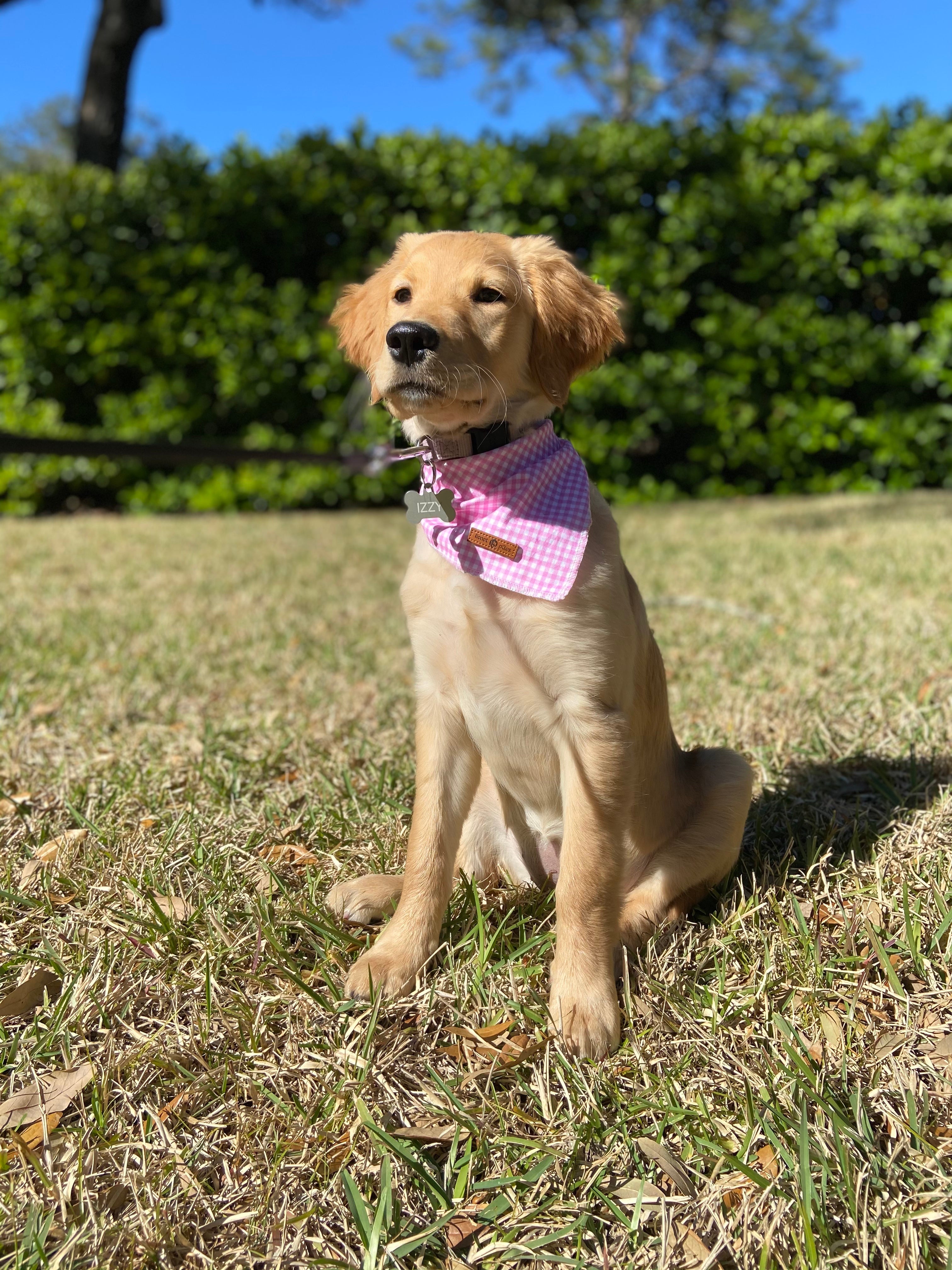 Pink Dog Bandana Cotton Handkerchief Scarf Triangle Bandana for Female Dog
