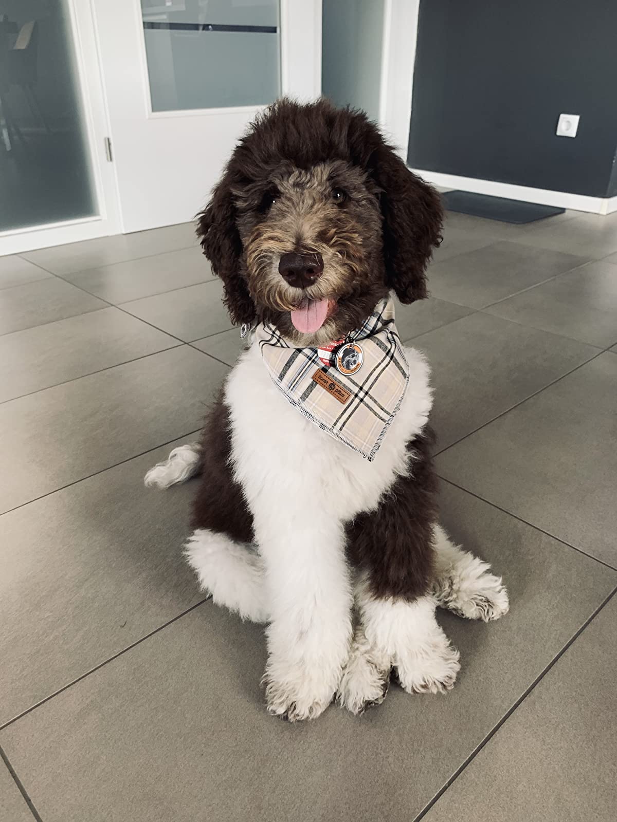 Gray Dog Bandana Cotton Handkerchief Scarf Triangle Bandana for Male Female Dog