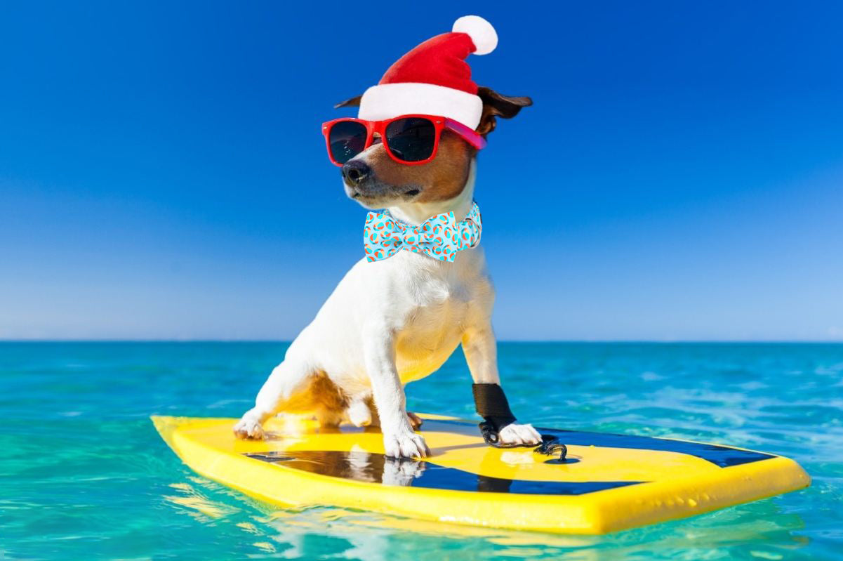 Summer Dog Collar with Bowtie, Beach Ball