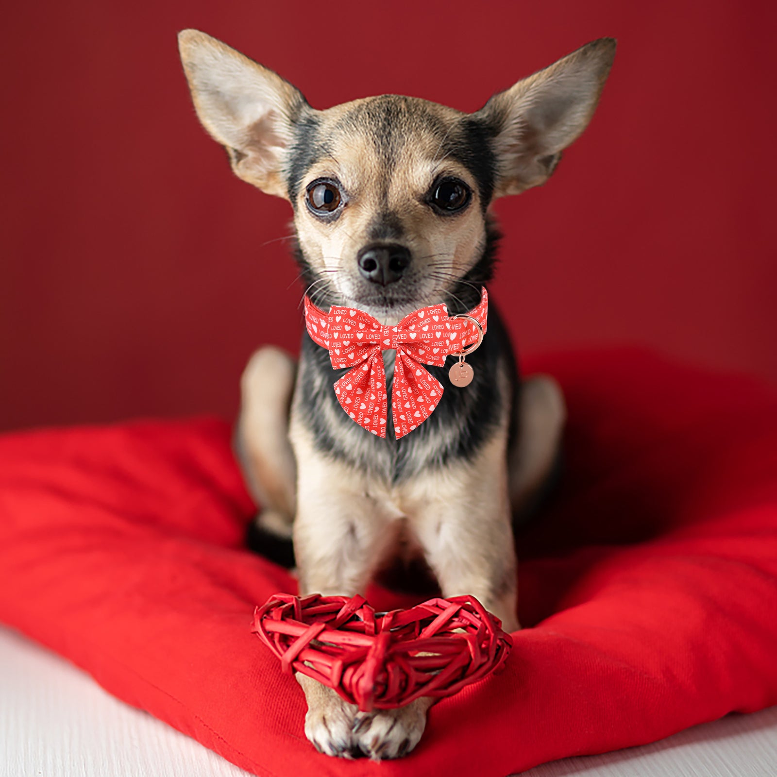 Valentine's Day Dog Collar with Sailor Bow for Girl