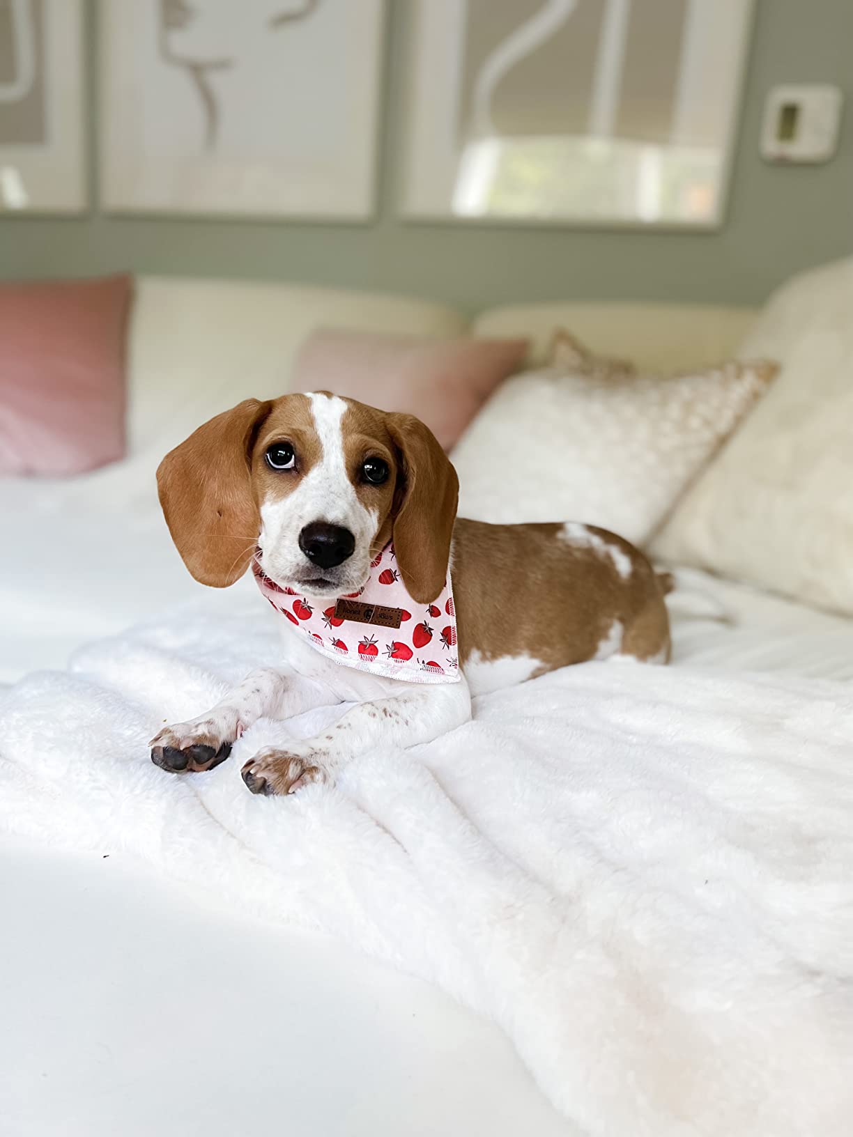 Dog Bandana Cotton Handkerchief Scarf Triangle Bandana for Female Dog, Strawberry