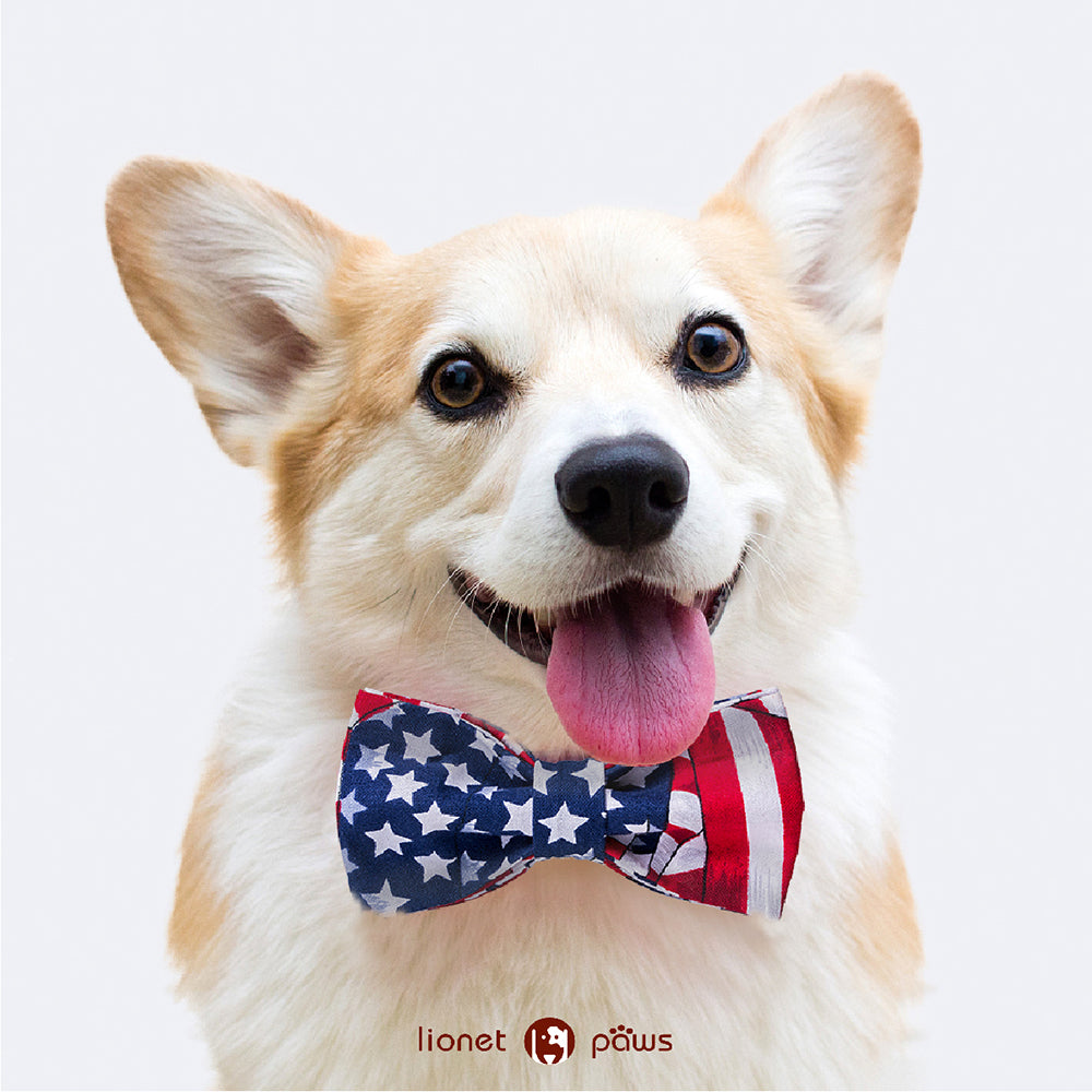 Patriotic Dog Collar with Bowtie, American Flag, 4th of July
