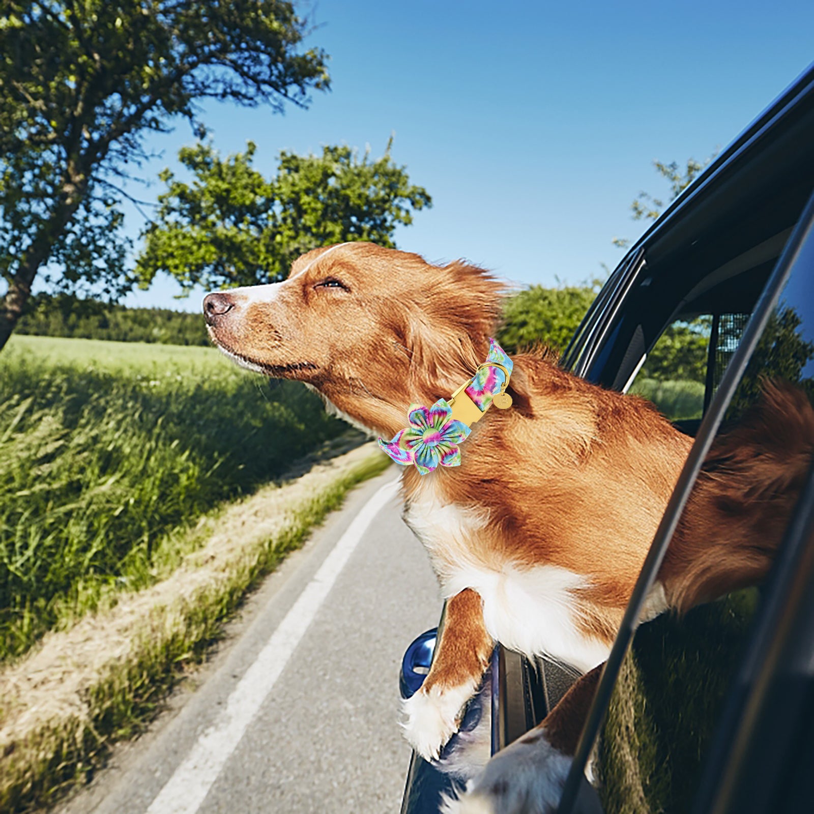 Tie-dye Dog Collar with Flower for Female Dog