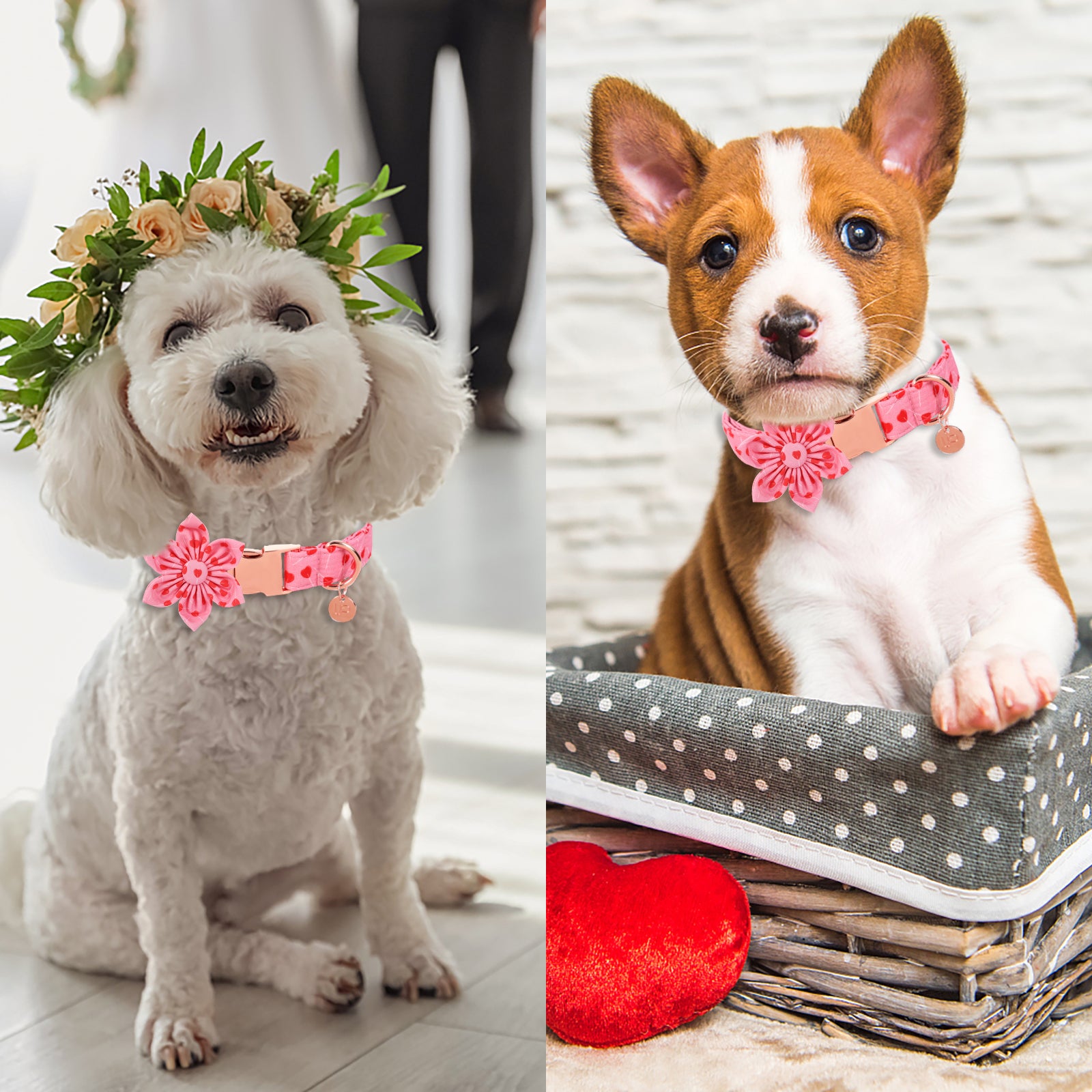 Valentine's Day Dog Collar with Flower for Female Dog