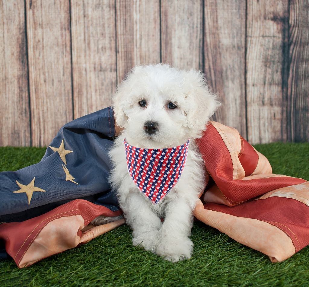 Patriotic Dog Bandana Handkerchief Scarf Triangle Bandana for Male Female Dog, 4th of July