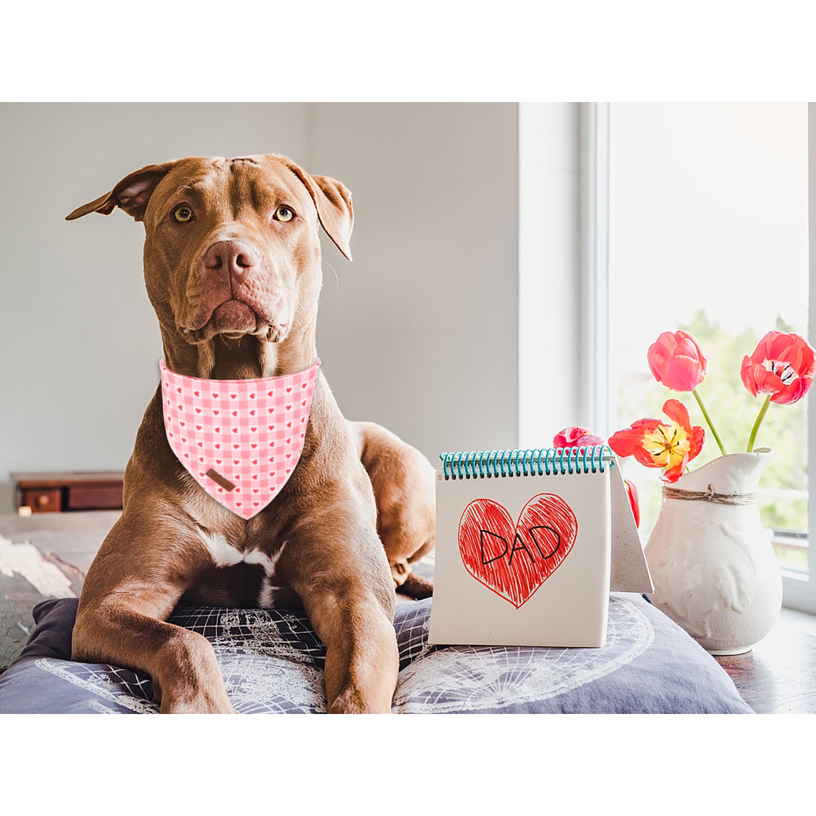 Valentine's Day Dog Bandana for Small Medium Large Female Dogs Gift