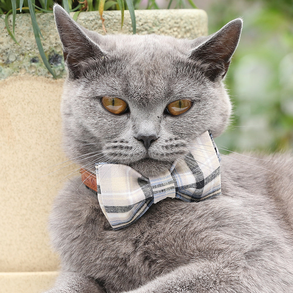 Bowtie Dog Cat Collar with Plastic Buckle, Gray
