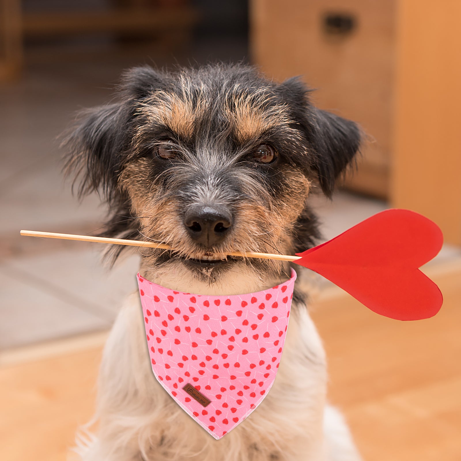 Valentine's Day Dog Bandana for Small Medium Large Female Dogs Gift
