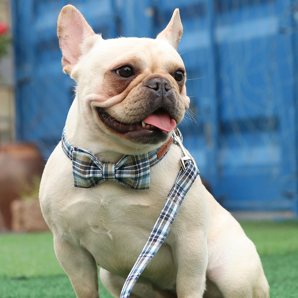 Blue Bowtie Dog Cat Collar with Plastic Buckle for Girl or Boy