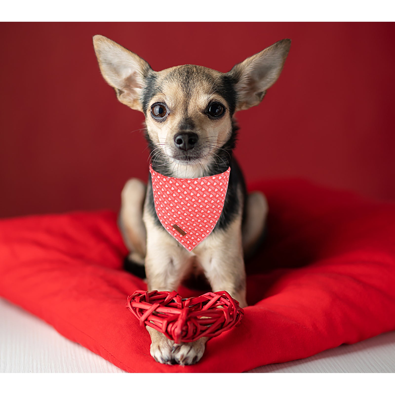Valentine's Day Dog Bandana for Small Medium Large Female Dogs Gift