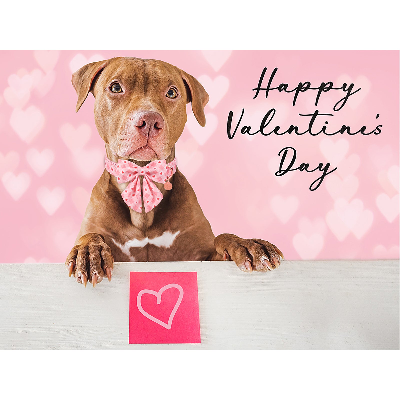 Valentine's Day Dog Collar with Sailor Bow for Girl