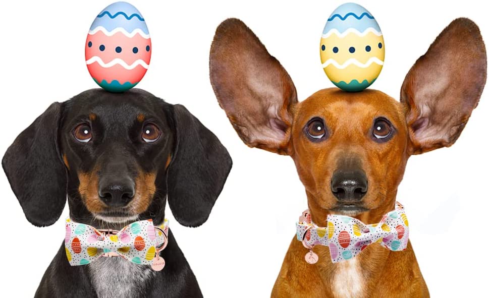 Easter Bowtie Dog Collar with Metal Buckle for Girl or Boy, Easter Egg Pattern
