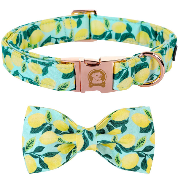 Cotton Bowtie Dog Collar with Metal Buckle for Girl or Boy, Lemon Pattern