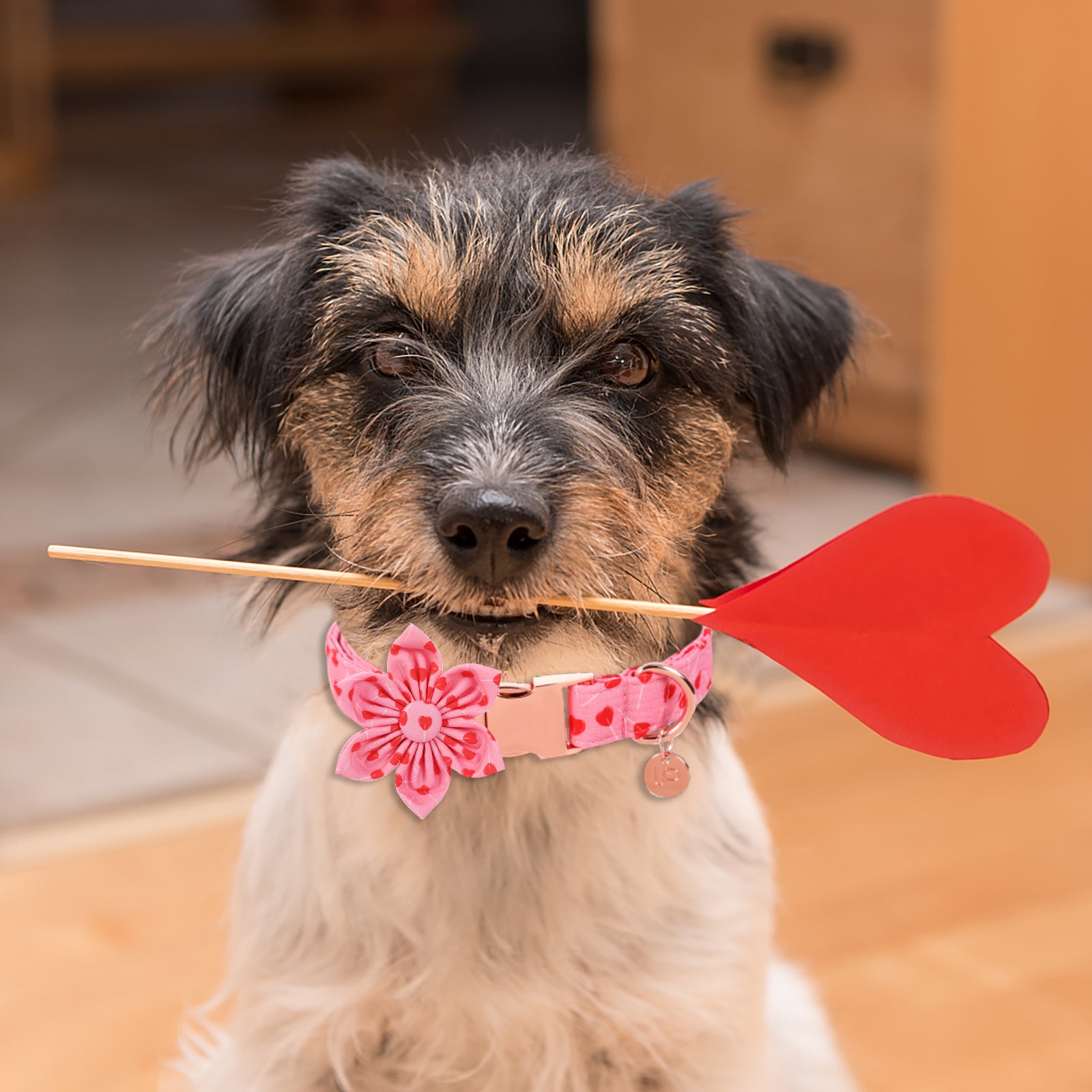 Valentine's Day Dog Collar with Flower for Female Dog