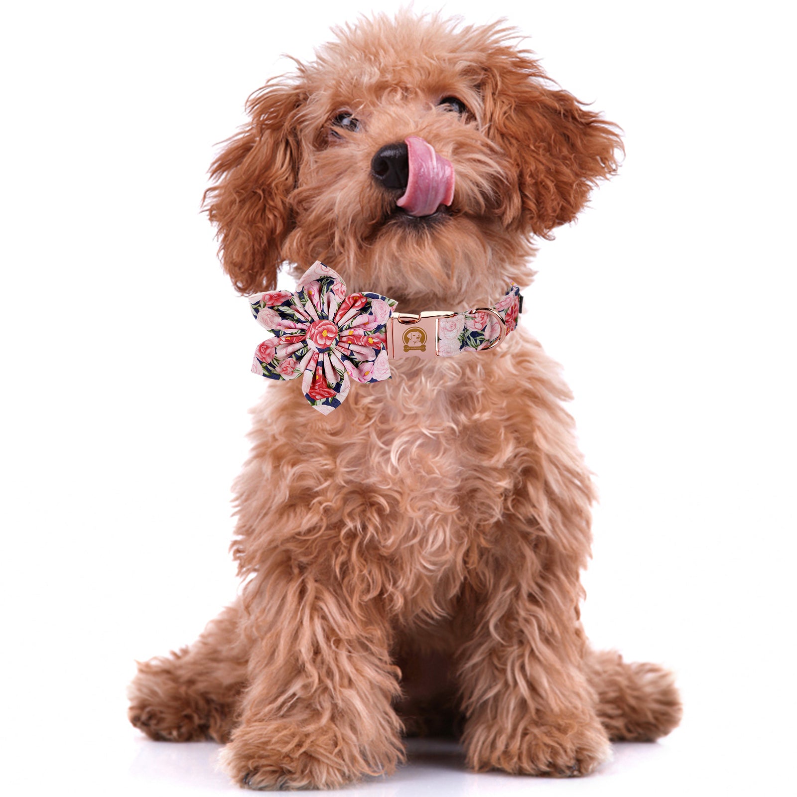 Dog Collar with Flower for Female Dog