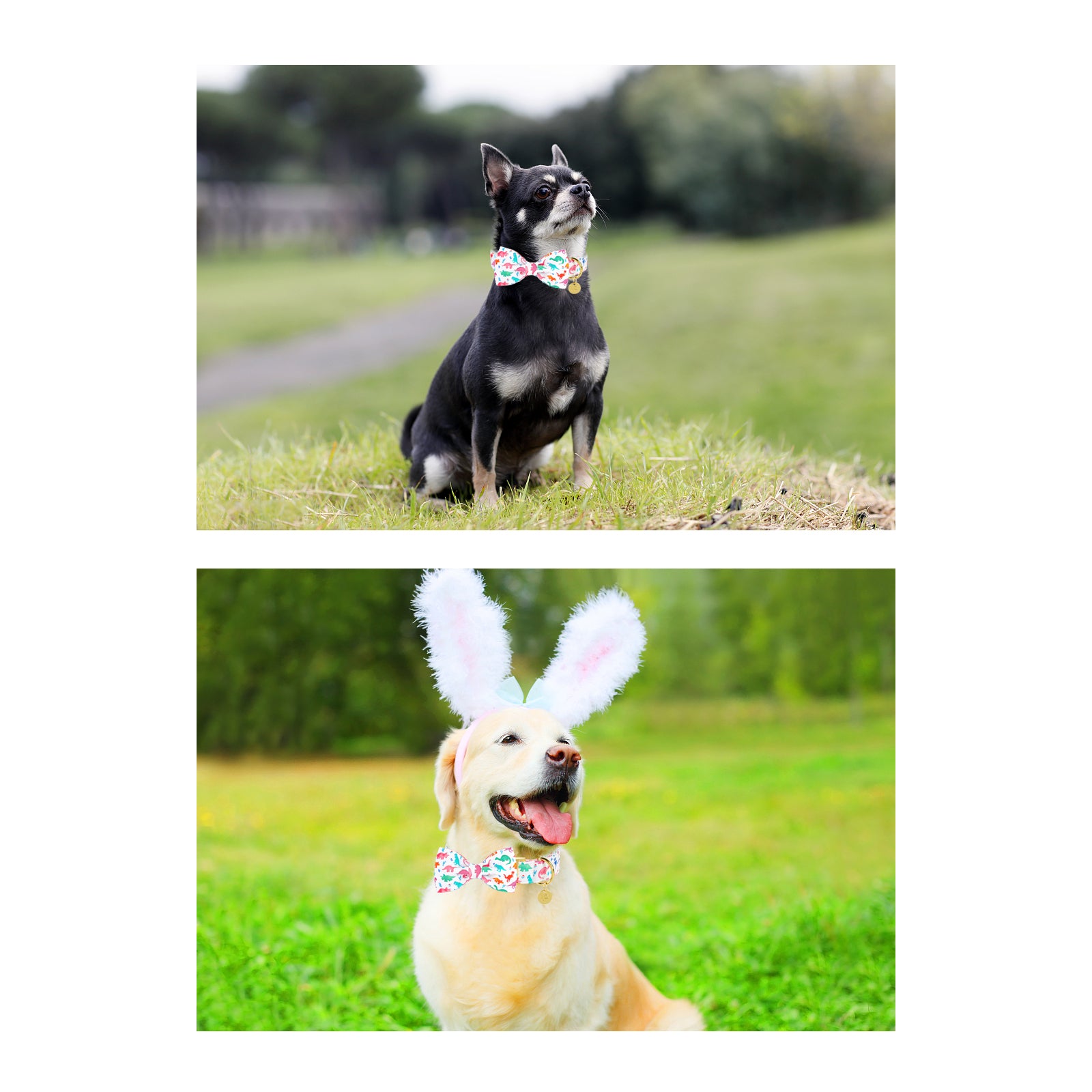 Dinosaur Dog Collar with Bowtie for Male Female Dogs