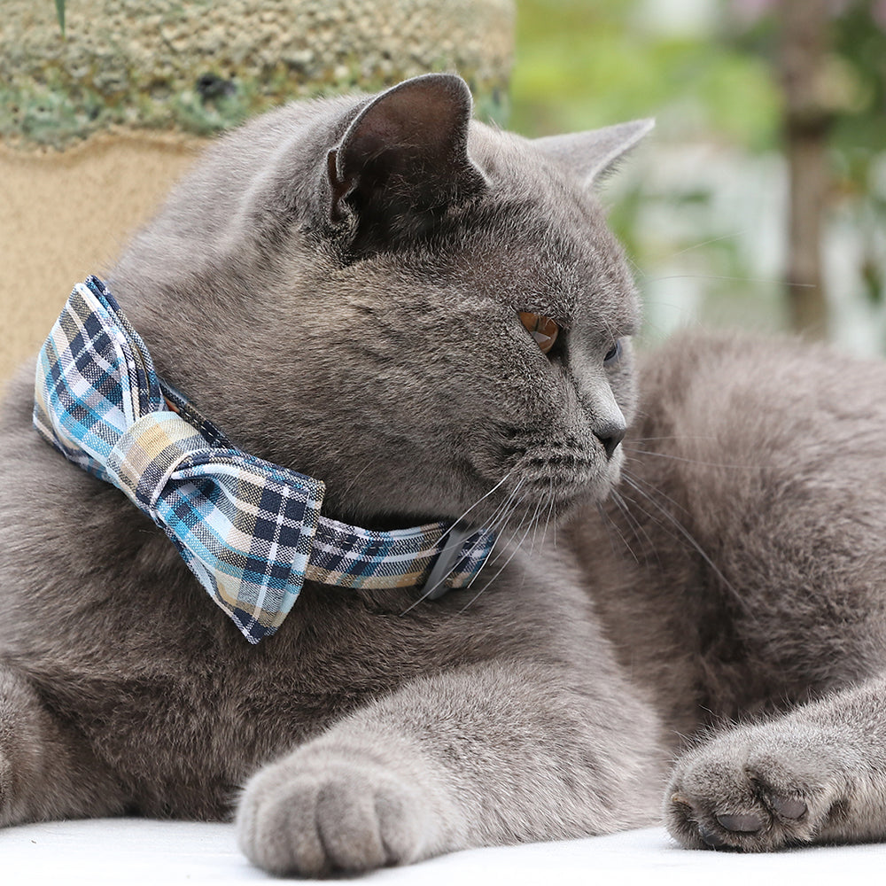 Blue Bowtie Dog Cat Collar with Plastic Buckle for Girl or Boy