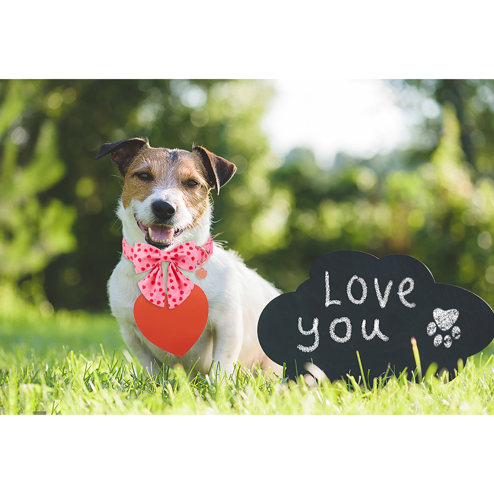Valentine's Day Dog Collar with Sailor Bow for Girl