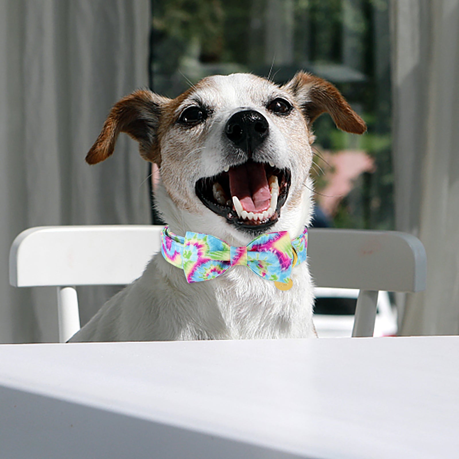 Tie-dye Dog Collar with Bowtie for Male Female Dogs
