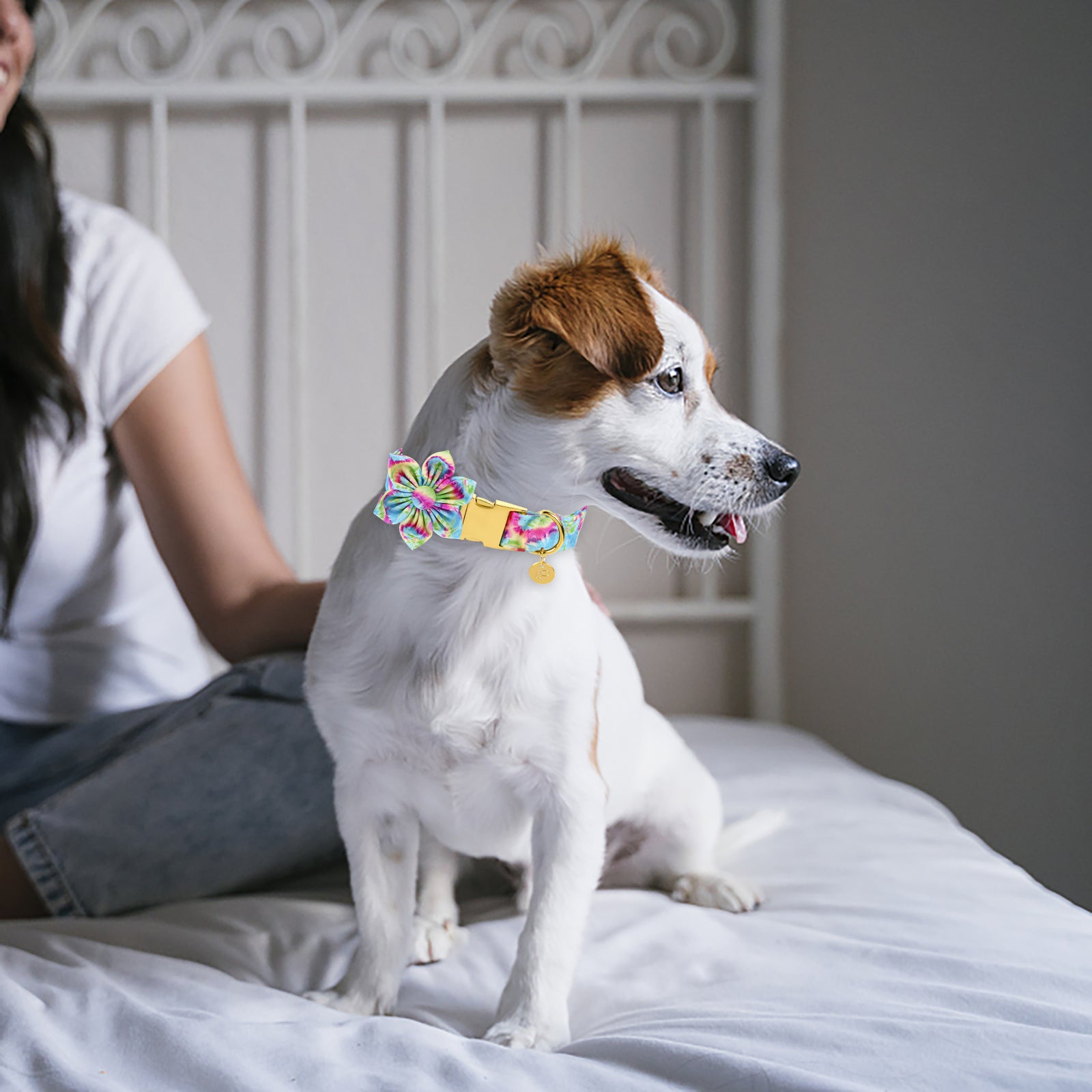 Tie-dye Dog Collar with Flower for Female Dog