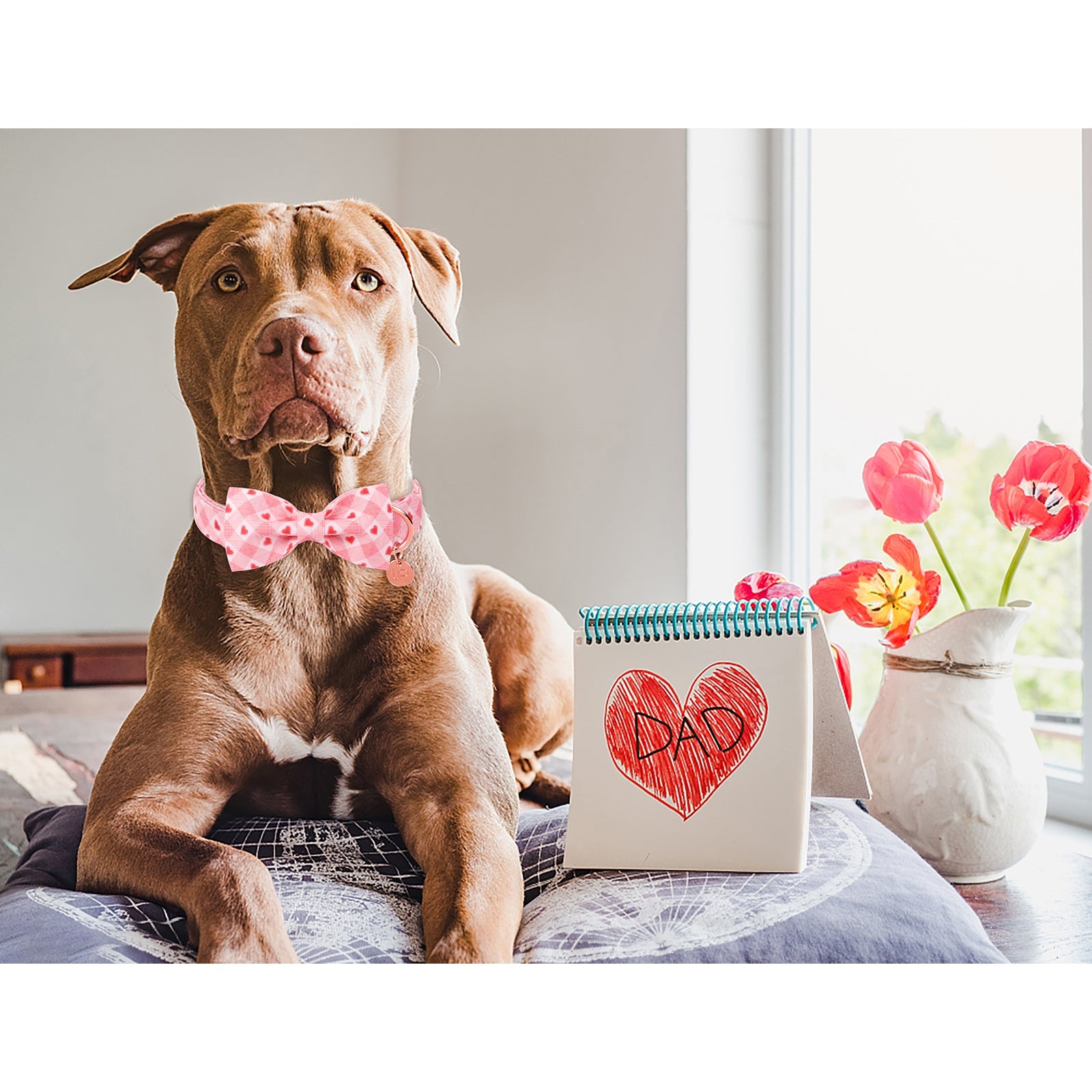 Valentine's Day Bowtie Dog Collar with Metal Buckle for Female Dog