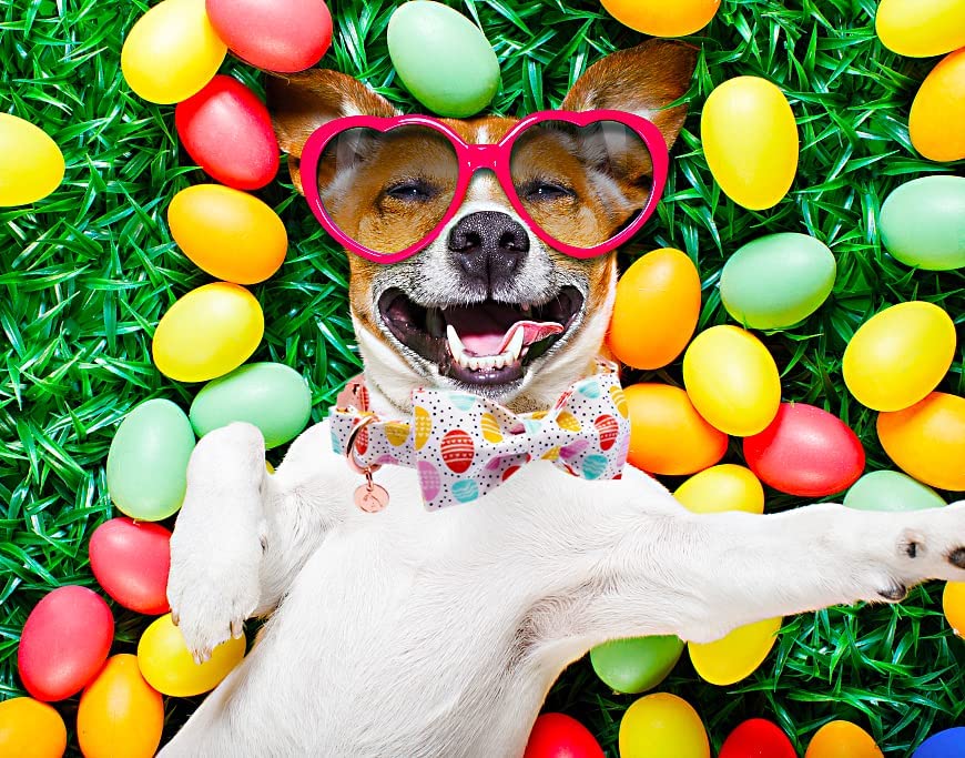 Easter Bowtie Dog Collar with Metal Buckle for Girl or Boy, Easter Egg Pattern