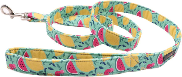 Summer Dog Leash for Small Medium Large Dog Matching Collar, Lemon, Watermelon