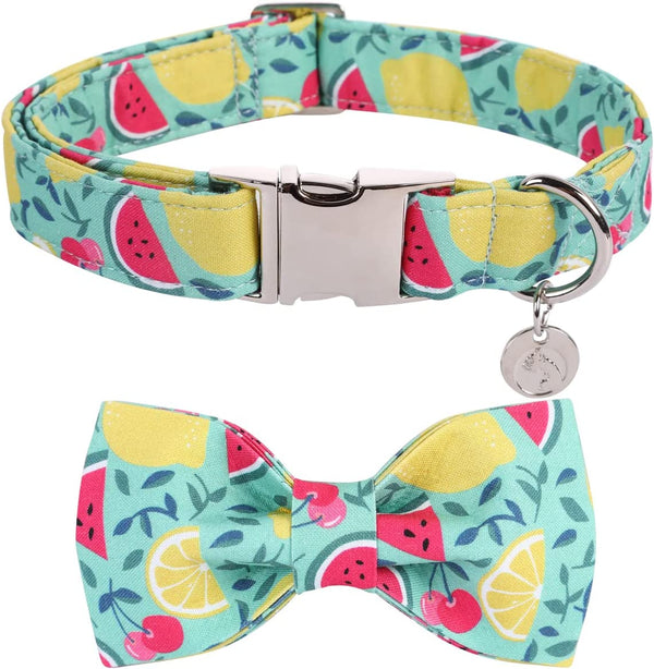Summer Bowtie Dog Collar with Metal Buckle for Girl or Boy, Lemon Watermelon