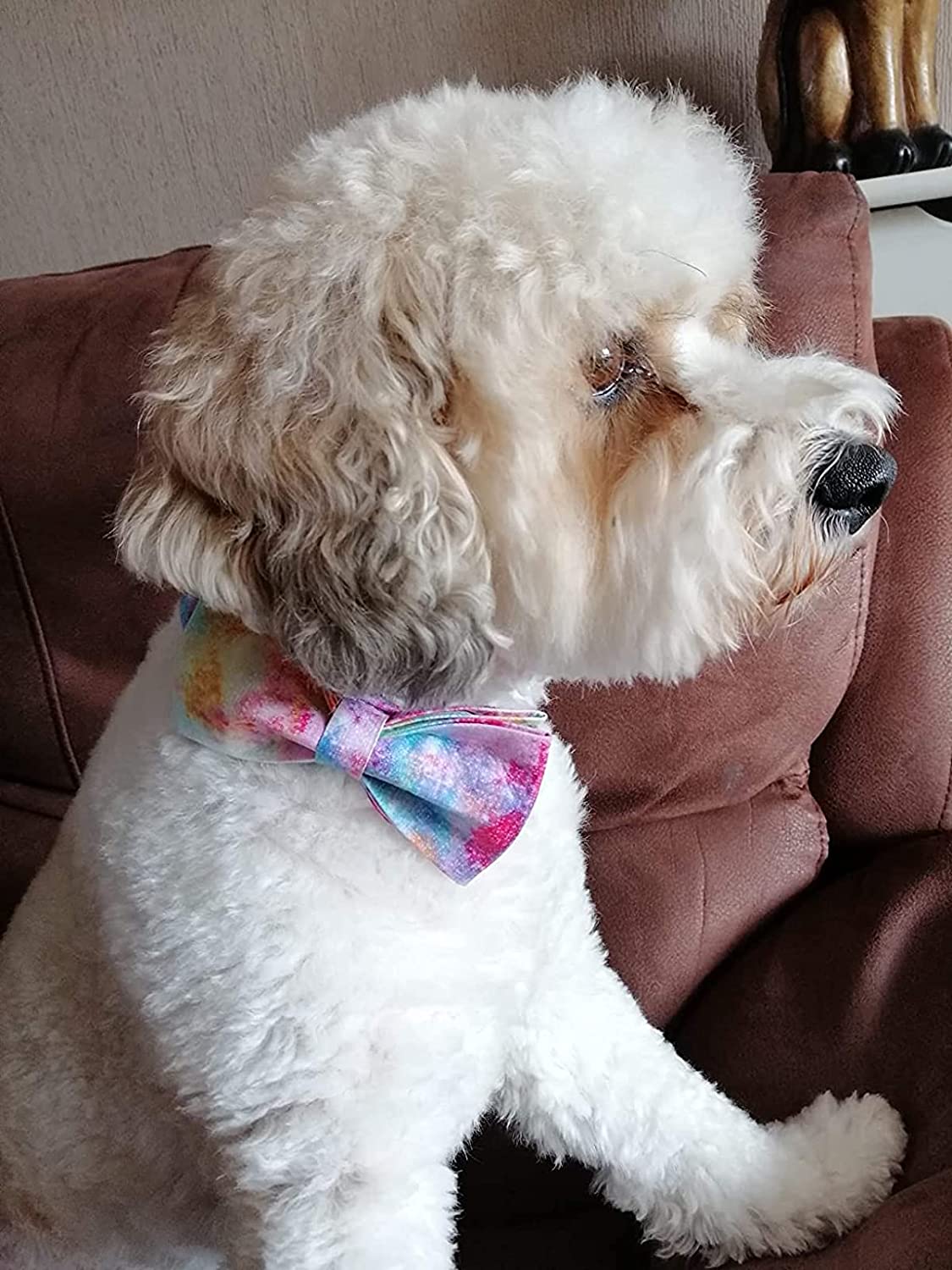Tie-dye Bowtie Dog Collar with Metal Buckle