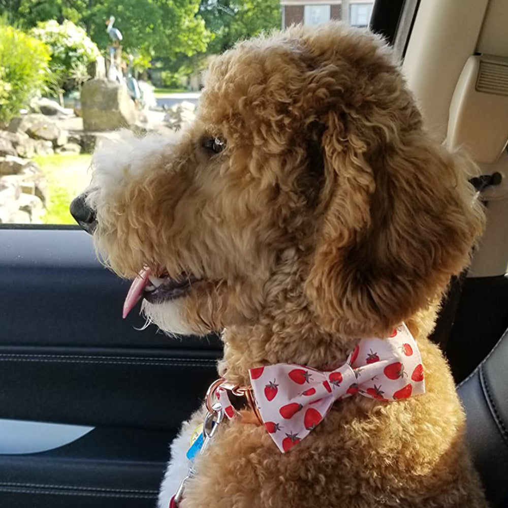 Pink Dog Collar with Bowtie for Girl, Strawberry