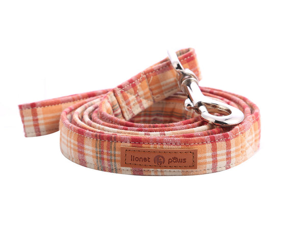 Orange Dog Leash for Small Medium Large Dog Matching Collar