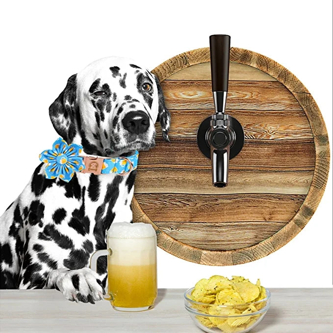 Beer Dog Collar with Flower for Female Dog