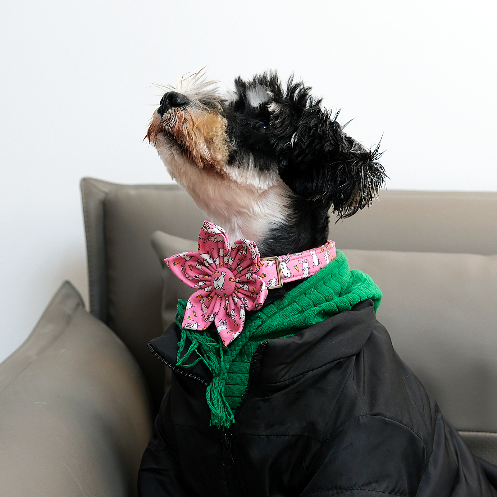 Easter Day Dog Collar with Flower for Female Dog
