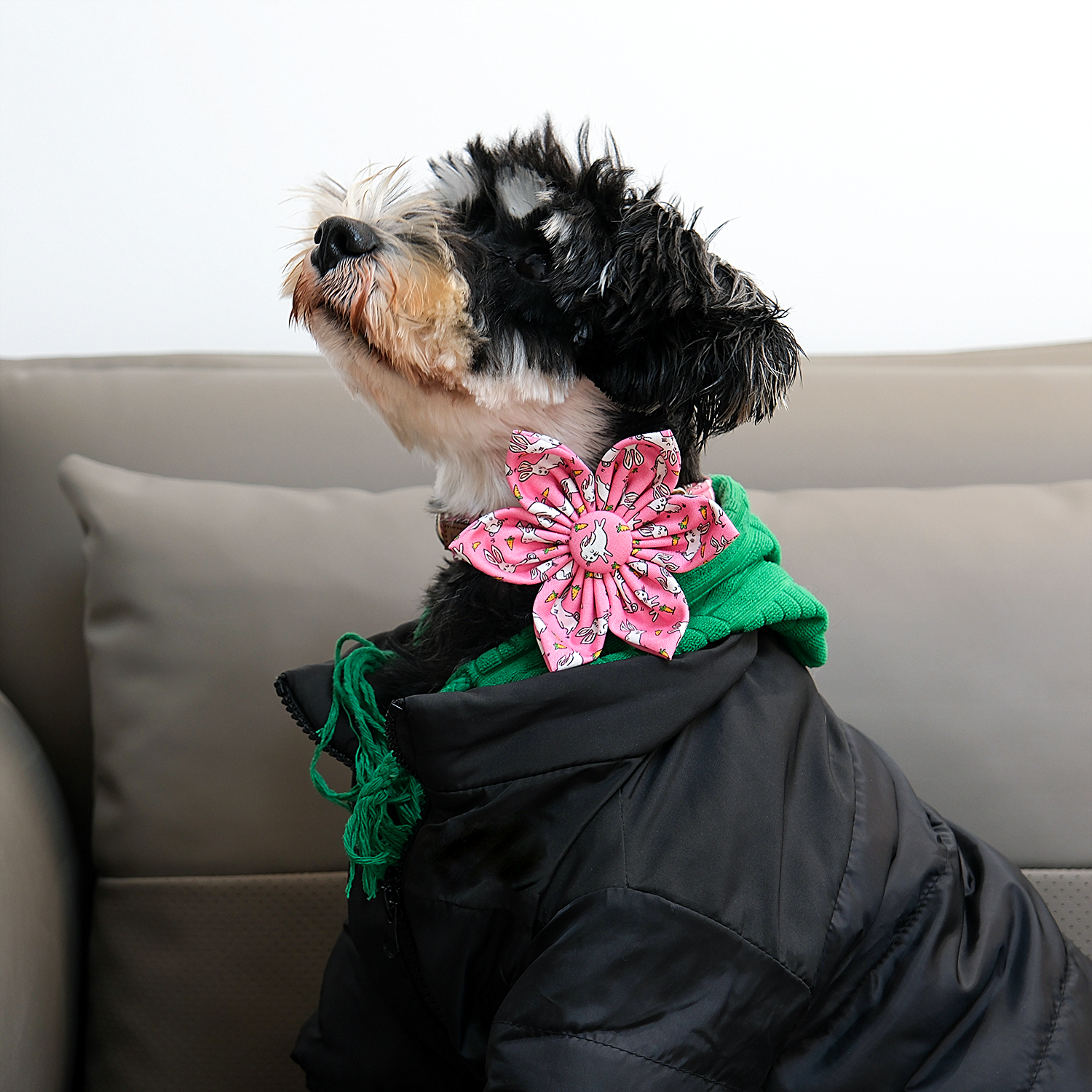 Easter Day Dog Collar with Flower for Female Dog