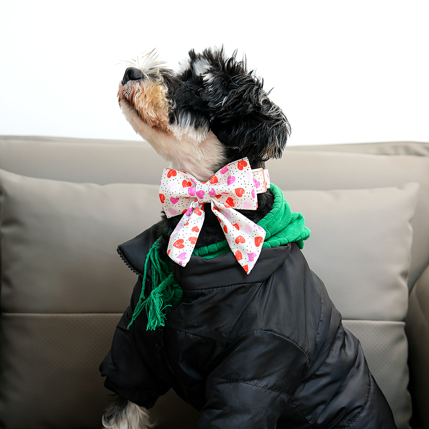Valentine's Day Dog Collar with Sailor Bow for Girl